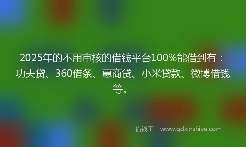 2025年的不用审核的借钱平台100%能借到有：功夫贷、360借条、惠商贷、小米贷款、微博借钱等。