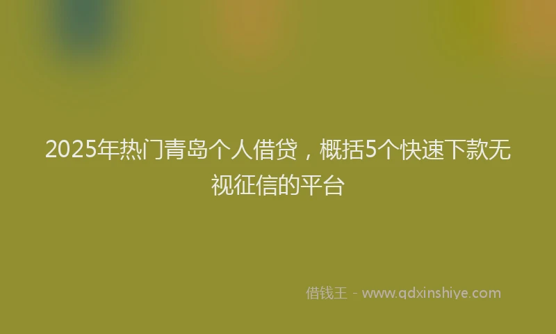 2025年热门青岛个人借贷，概括5个快速下款无视征信的平台