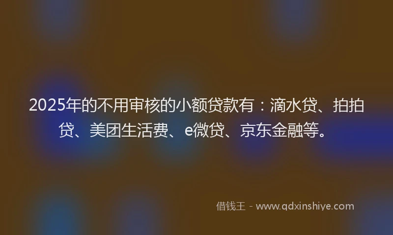 2025年的不用审核的小额贷款有：滴水贷、拍拍贷、美团生活费、e微贷、京东金融等。