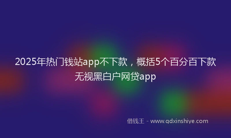 2025年热门钱站app不下款，概括5个百分百下款无视黑白户网贷app