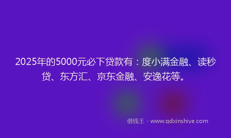 2025年的5000元必下贷款有：度小满金融、读秒贷、东方汇、京东金融、安逸花等。