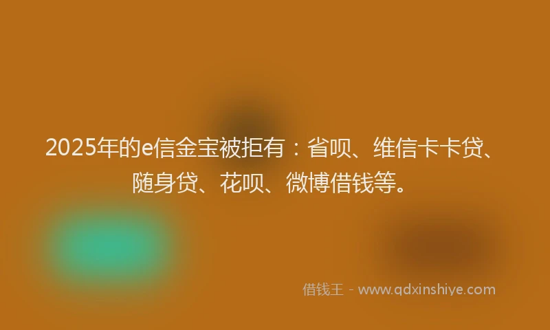 2025年的e信金宝被拒有：省呗、维信卡卡贷、随身贷、花呗、微博借钱等。