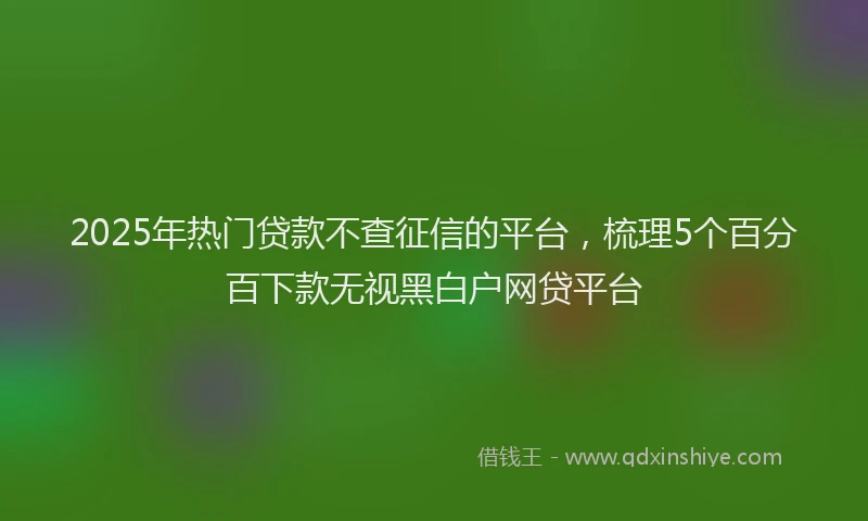 2025年热门贷款不查征信的平台，梳理5个百分百下款无视黑白户网贷平台