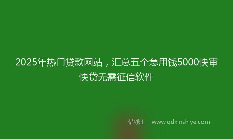 2025年热门贷款网站，汇总五个急用钱5000快审快贷无需征信软件