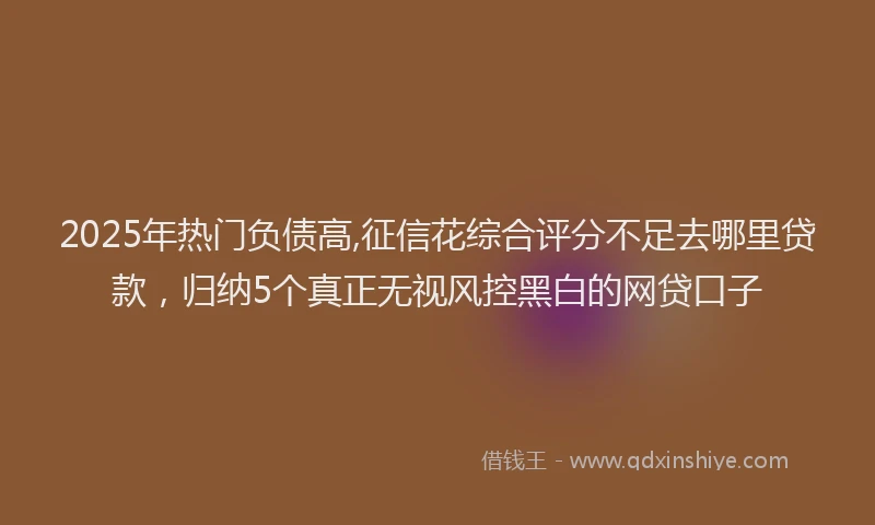 2025年热门负债高,征信花综合评分不足去哪里贷款，归纳5个真正无视风控黑白的网贷口子