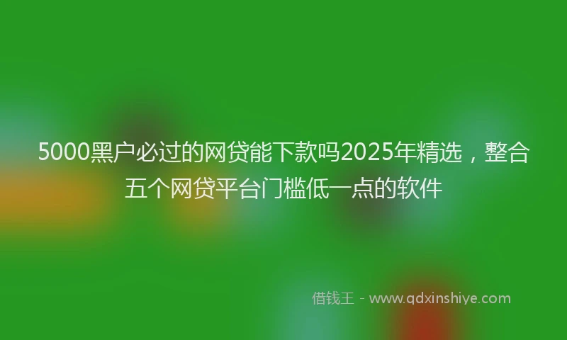 5000黑户必过的网贷能下款吗2025年精选，整合五个网贷平台门槛低一点的软件