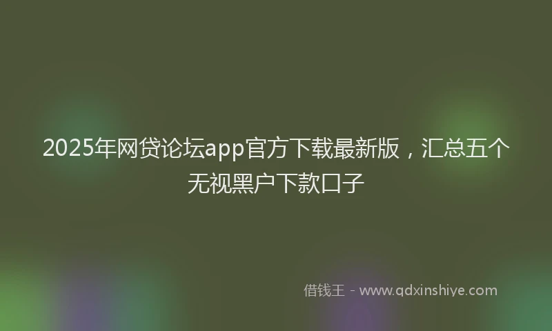 2025年网贷论坛app官方下载最新版，汇总五个无视黑户下款口子