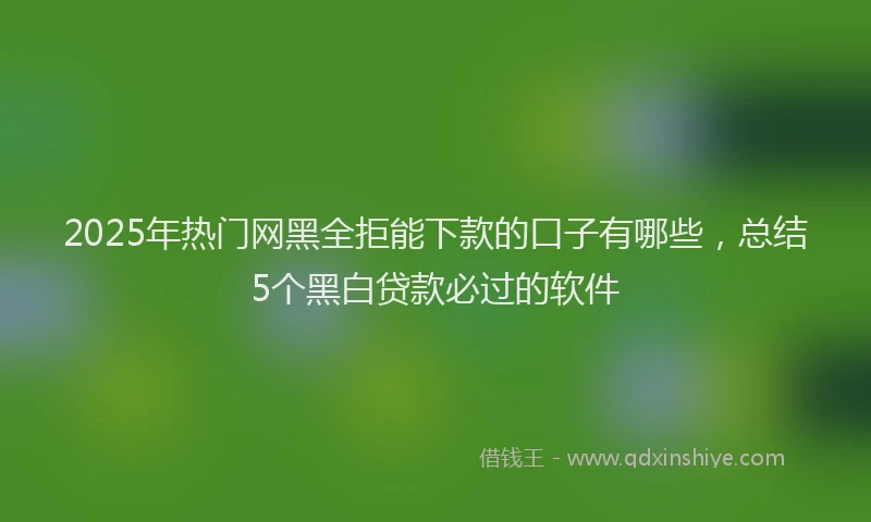 2025年热门网黑全拒能下款的口子有哪些，总结5个黑白贷款必过的软件