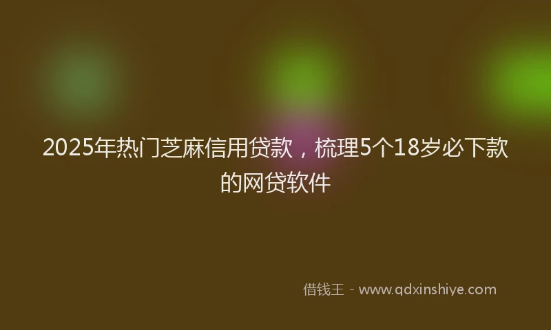 2025年热门芝麻信用贷款，梳理5个18岁必下款的网贷软件