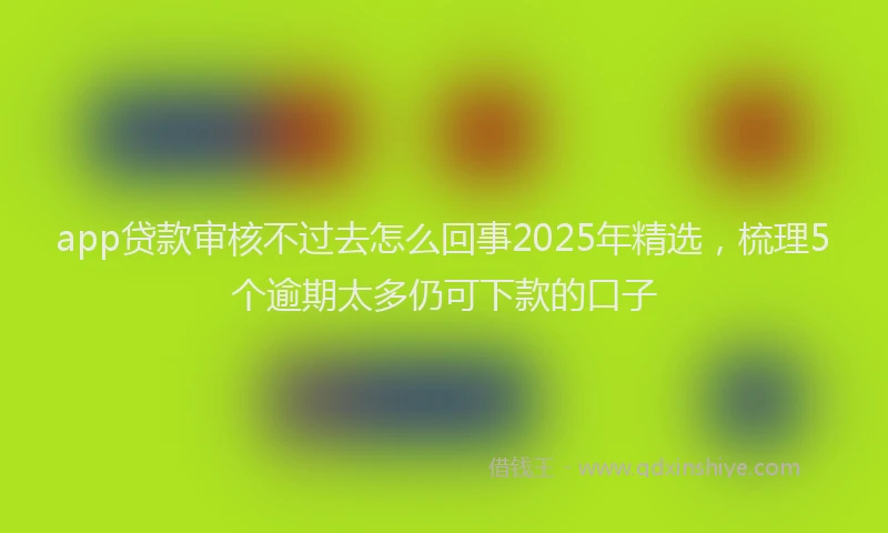 app贷款审核不过去怎么回事2025年精选，梳理5个逾期太多仍可下款的口子