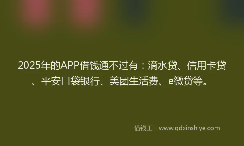 2025年的APP借钱通不过有：滴水贷、信用卡贷、平安口袋银行、美团生活费、e微贷等。