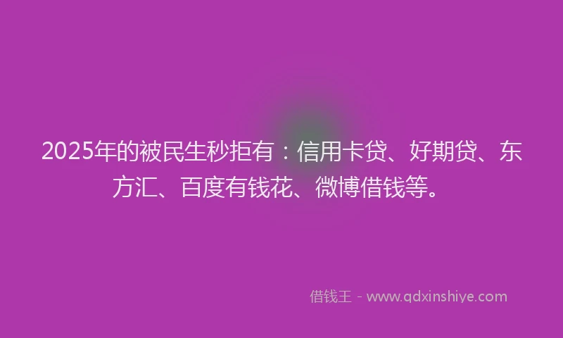 2025年的被民生秒拒有：信用卡贷、好期贷、东方汇、百度有钱花、微博借钱等。