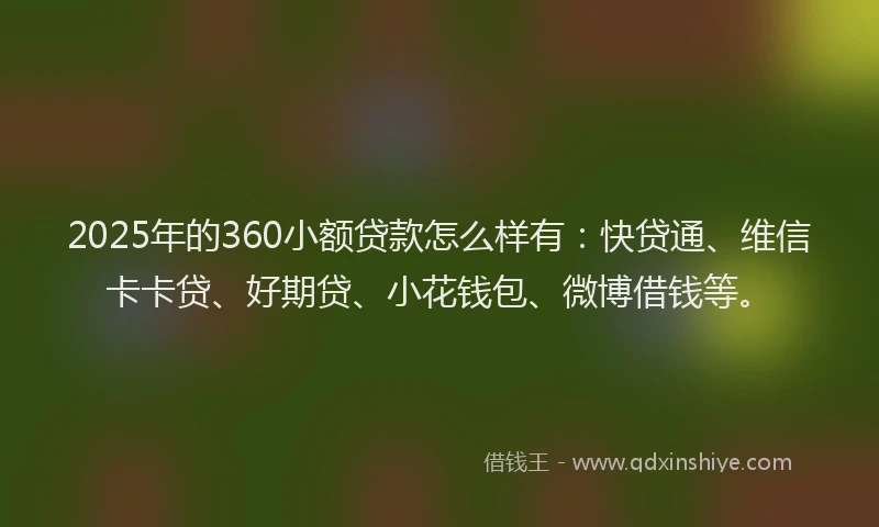 2025年的360小额贷款怎么样有：快贷通、维信卡卡贷、好期贷、小花钱包、微博借钱等。