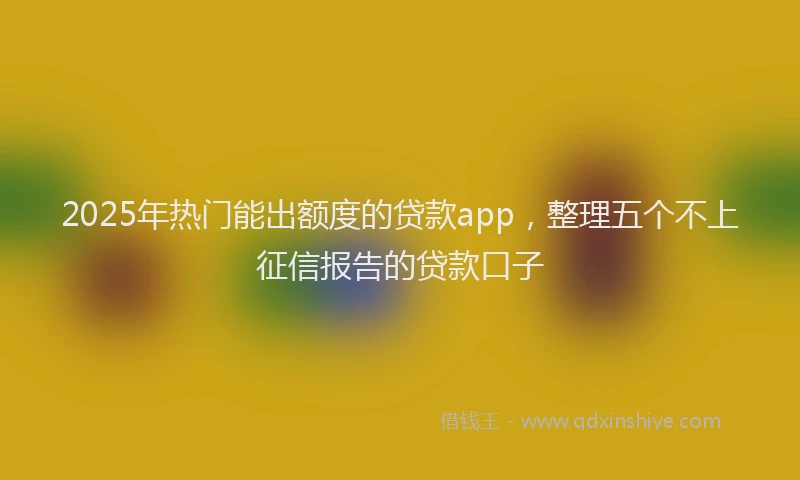 2025年热门能出额度的贷款app，整理五个不上征信报告的贷款口子