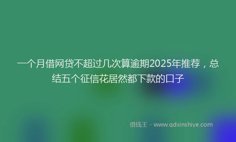 一个月借网贷不超过几次算逾期2025年推荐，总结五个征信花居然都下款的口子