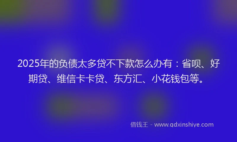 2025年的负债太多贷不下款怎么办有：省呗、好期贷、维信卡卡贷、东方汇、小花钱包等。
