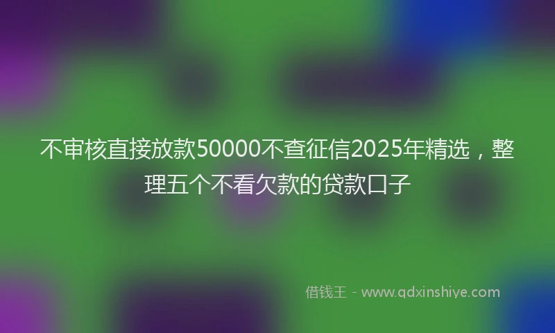 不审核直接放款50000不查征信2025年精选，整理五个不看欠款的贷款口子
