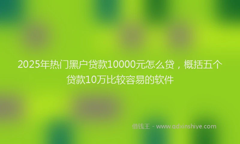 2025年热门黑户贷款10000元怎么贷，概括五个贷款10万比较容易的软件