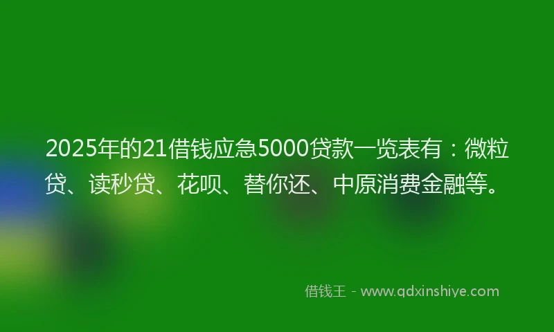 2025年的21借钱应急5000贷款一览表有：微粒贷、读秒贷、花呗、替你还、中原消费金融等。