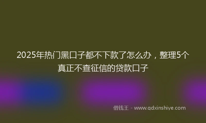2025年热门黑口子都不下款了怎么办，整理5个真正不查征信的贷款口子