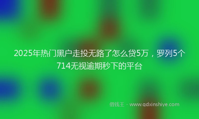 2025年热门黑户走投无路了怎么贷5万，罗列5个714无视逾期秒下的平台