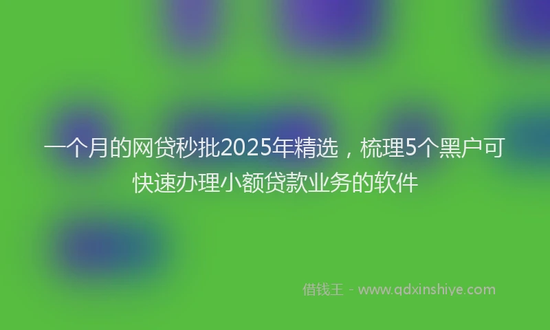 一个月的网贷秒批2025年精选，梳理5个黑户可快速办理小额贷款业务的软件