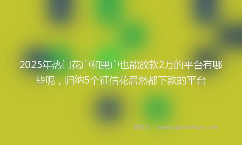 2025年热门花户和黑户也能放款2万的平台有哪些呢，归纳5个征信花居然都下款的平台