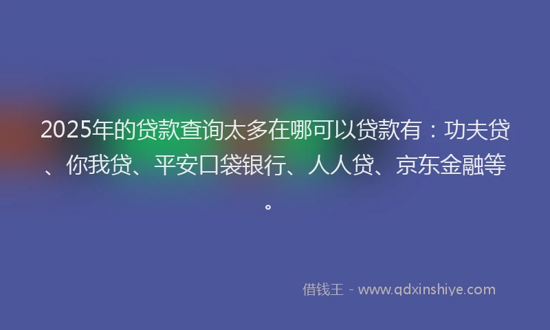 2025年的贷款查询太多在哪可以贷款有：功夫贷、你我贷、平安口袋银行、人人贷、京东金融等。