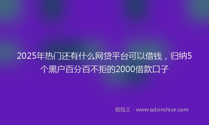 2025年热门还有什么网贷平台可以借钱，归纳5个黑户百分百不拒的2000借款口子