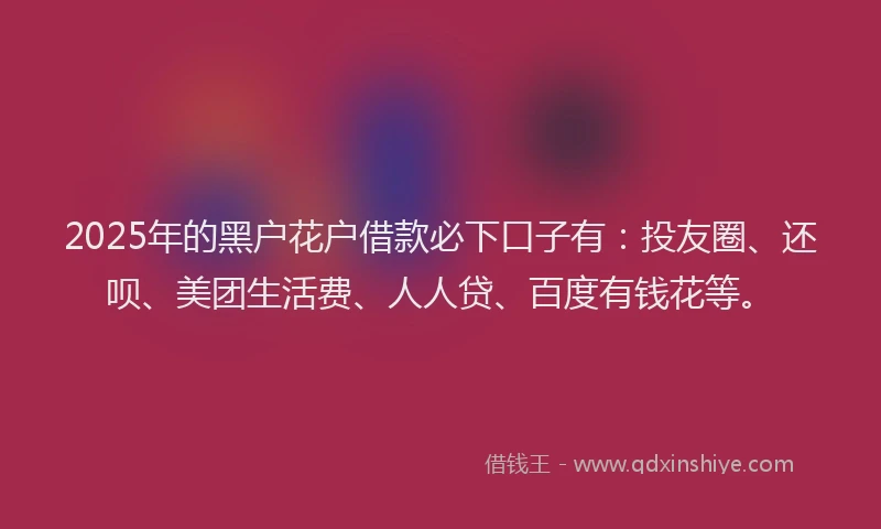 2025年的黑户花户借款必下口子有：投友圈、还呗、美团生活费、人人贷、百度有钱花等。