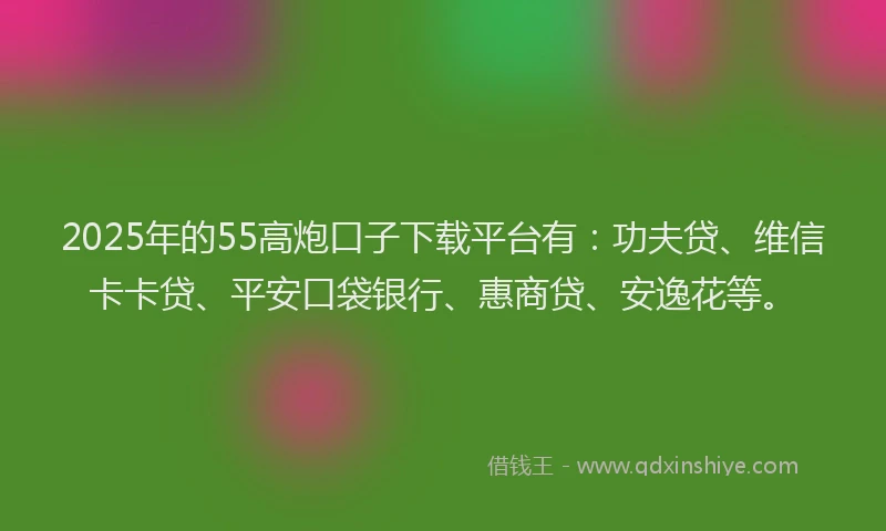 2025年的55高炮口子下载平台有：功夫贷、维信卡卡贷、平安口袋银行、惠商贷、安逸花等。