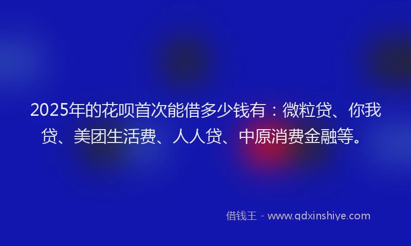 2025年的花呗首次能借多少钱有：微粒贷、你我贷、美团生活费、人人贷、中原消费金融等。