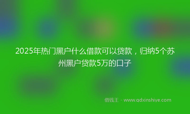 2025年热门黑户什么借款可以贷款，归纳5个苏州黑户贷款5万的口子