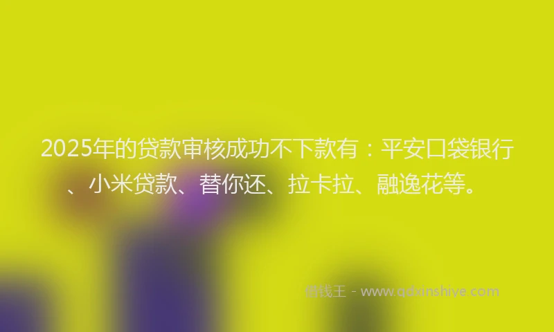 2025年的贷款审核成功不下款有：平安口袋银行、小米贷款、替你还、拉卡拉、融逸花等。