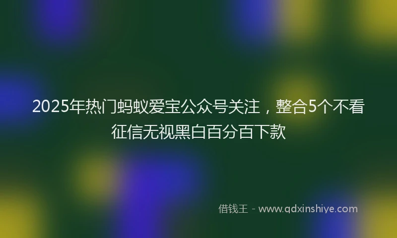 2025年热门蚂蚁爱宝公众号关注，整合5个不看征信无视黑白百分百下款
