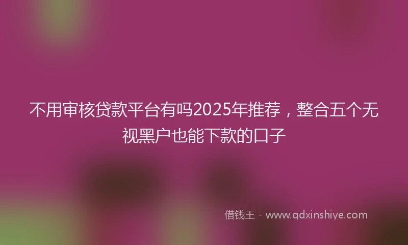 不用审核贷款平台有吗2025年推荐，整合五个无视黑户也能下款的口子