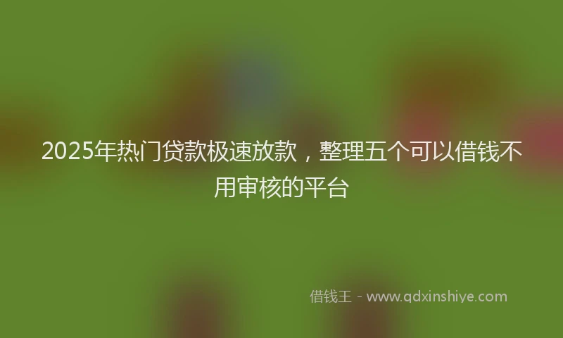 2025年热门贷款极速放款，整理五个可以借钱不用审核的平台