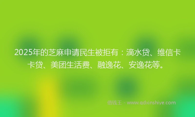 2025年的芝麻申请民生被拒有：滴水贷、维信卡卡贷、美团生活费、融逸花、安逸花等。
