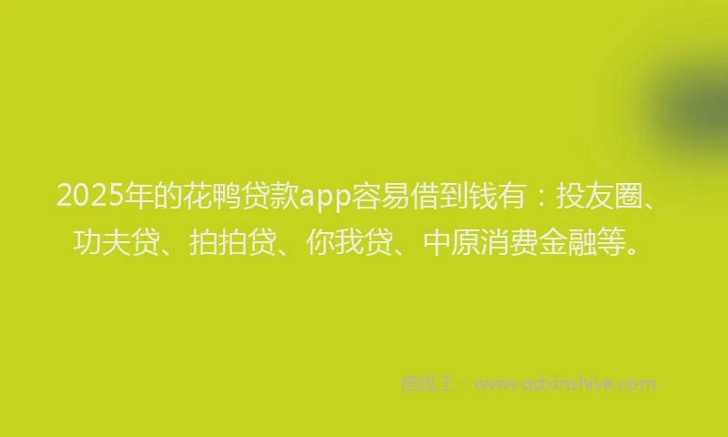 2025年的花鸭贷款app容易借到钱有：投友圈、功夫贷、拍拍贷、你我贷、中原消费金融等。