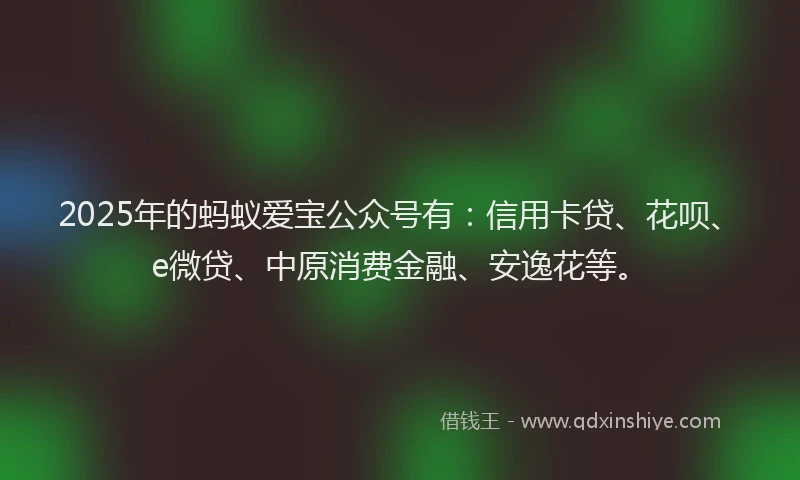 2025年的蚂蚁爱宝公众号有：信用卡贷、花呗、e微贷、中原消费金融、安逸花等。