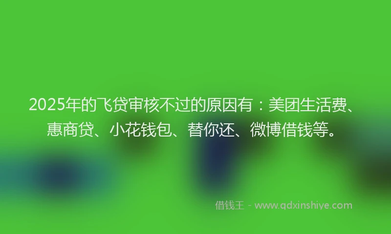 2025年的飞贷审核不过的原因有：美团生活费、惠商贷、小花钱包、替你还、微博借钱等。
