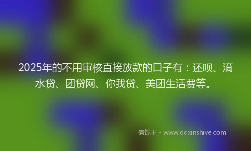 2025年的不用审核直接放款的口子有：还呗、滴水贷、团贷网、你我贷、美团生活费等。