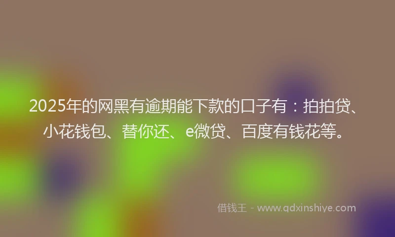 2025年的网黑有逾期能下款的口子有：拍拍贷、小花钱包、替你还、e微贷、百度有钱花等。