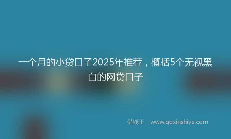 一个月的小贷口子2025年推荐，概括5个无视黑白的网贷口子
