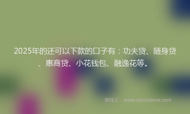 2025年的还可以下款的口子有：功夫贷、随身贷、惠商贷、小花钱包、融逸花等。