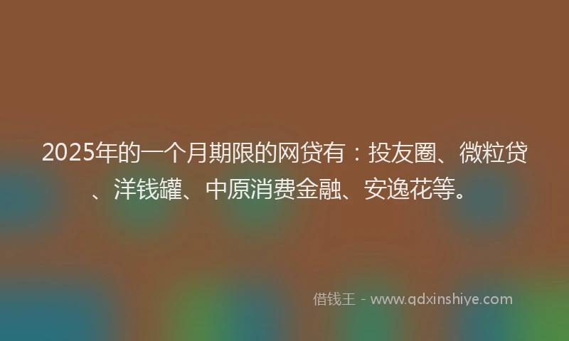 2025年的一个月期限的网贷有：投友圈、微粒贷、洋钱罐、中原消费金融、安逸花等。