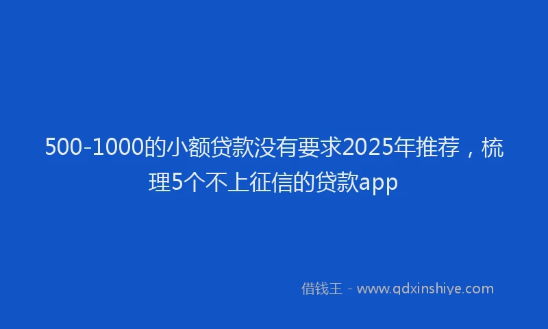 500-1000的小额贷款没有要求2025年推荐，梳理5个不上征信的贷款app