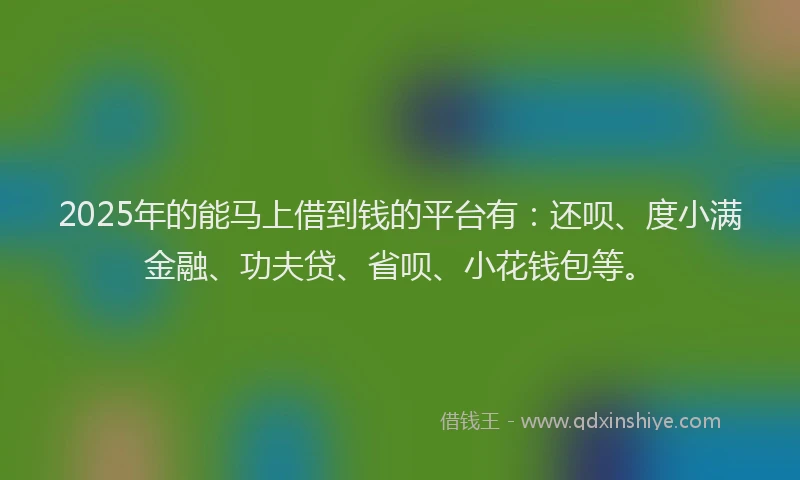 2025年的能马上借到钱的平台有：还呗、度小满金融、功夫贷、省呗、小花钱包等。