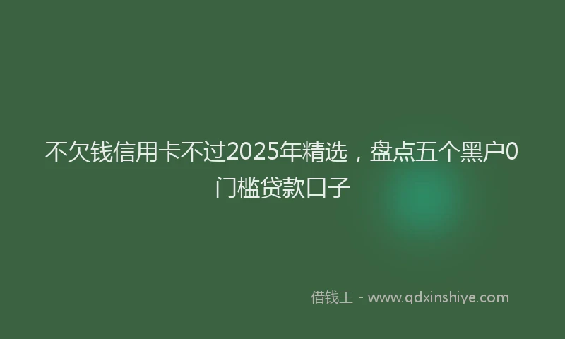 不欠钱信用卡不过2025年精选，盘点五个黑户0门槛贷款口子