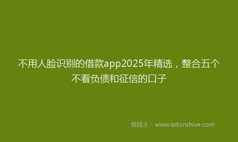 不用人脸识别的借款app2025年精选，整合五个不看负债和征信的口子
